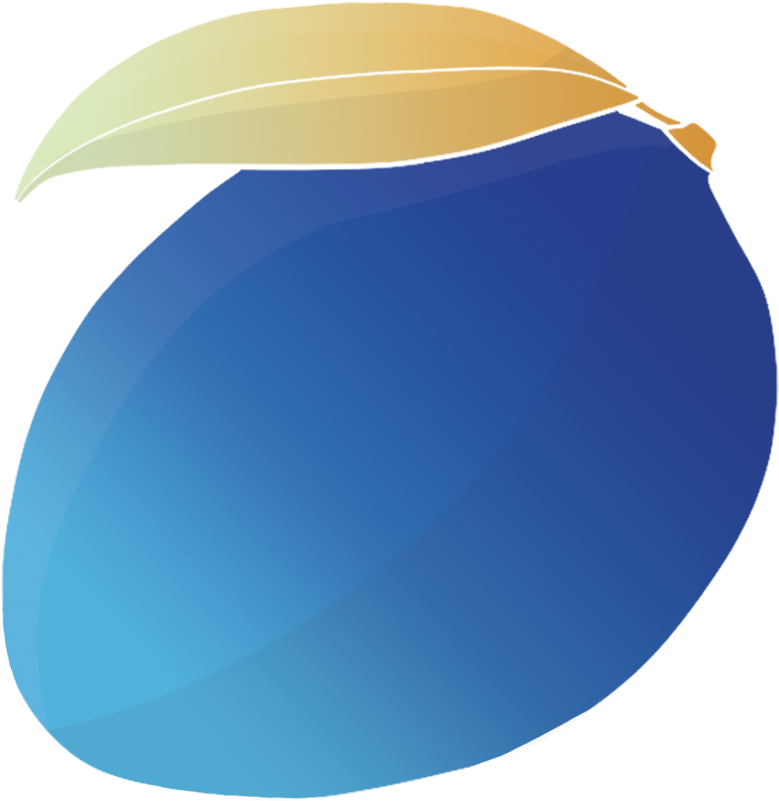 logo blue mango studio